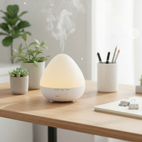 Humidificateur d'air portable, diffuseur ultrasonique d'arômes, diffuseur d'huiles essentielles, fabrication