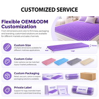 Matelas pliable en gel TPE avec grille d'aération rafraîchissante, fermeté moyenne, idéal pour la location de vacances – Approvisionnement direct usine