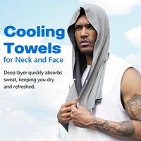 Serviette rafraîchissante pour le cou en soie glacée, serviette de sport pour la tête, écharpe enveloppante pour le cou, serviette rafraîchissante portable et respirante