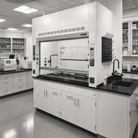 Hotte Offre Spéciale Hotte de laboratoire Hotte chimique Armoire Prix chimique Hottes de laboratoire chimique