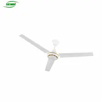 Remote Control Ceiling Fan, Magnetic Motor, Bldc Fan, 12V