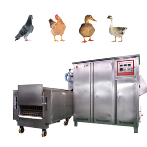 MD型鸡烫毛脱毛机，带泵、PLC、齿轮箱、发动机，380V，高生产率600bp/h，核心部件轴承 - Product Image 1