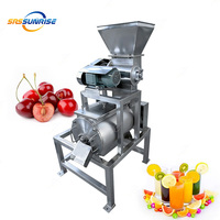 Industriële automatische fruitpulp-maakapparatuur, roestvrijstalen pruimenontpitter en -pulpermachine