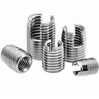 302 Type Slotted Tapping Inserts for Precision Fastening Solutions
