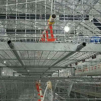 Cage à poulets de chair en acier galvanisé à chaud automatique en gros