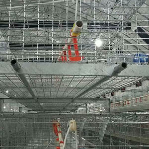 Cage automatique pour poulets de chair de poule en acier galvanisé à chaud vente en gros - Product Image 2