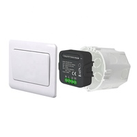 Nouvelle Arrivée CE 15 mois de Garantie Bon Marché 10A 1 Gang Tuya WiFi Activer À Distance Sans Fil Commutateur de Relais Module Noir sans MOYEU