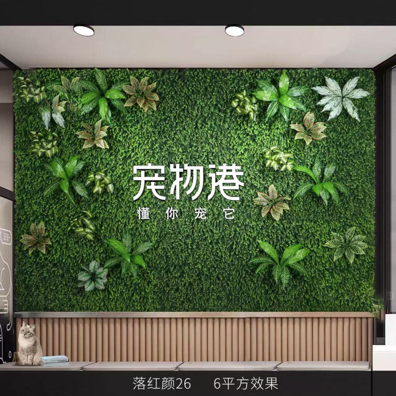 Beauté rouge tombante 26/㎡