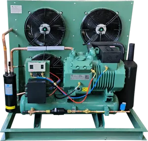 Small Cold Room Refrigeration Unit High-Quality Condensing Unit For Cold Room refrigeraiton condenser unit suppliers