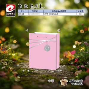 6157 Medium Hot Stamped Gift <b>Bag</b> With <b>Silver</b> Ribbon And Pendant - Product Image 3