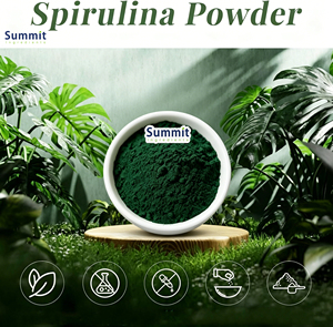 <span class=keywords><strong>Poudre</strong></span> de <span class=keywords><strong>spiruline</strong></span> biologique certifiée USDA en vrac, qualité alimentaire, 100 % pure et naturelle, superaliment d'algues vertes pour compléments alimentaires - Product Image 2