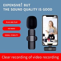 Microphone sans fil portable Vente en gros Interview en direct 2.4GHz 2 en 1 Mini Microphone Microphone portable pour IOS et Android