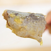 Poisson sardine en conserve avec industrie de l'huile végétale HALAL