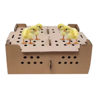 Bas Prix, Boîte de Transport en Carton Respirante et Portable pour Poussins d'Un Jour