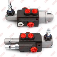 Vanne de commande directionnelle hydraulique manuelle FLYBY 1 à commande par joystick, 2 bobines, proportionnelle, P40 P80 P120, pour tracteur et chargeur, 250 bars