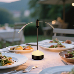 Ngoài trời và trong nhà bữa ăn lỗi <span class=keywords><strong>Fly</strong></span> Catcher Fan <span class=keywords><strong>Fly</strong></span> Repellent Fan xách tay điện muỗi bay bảng fan hâm mộ - Product Image 1