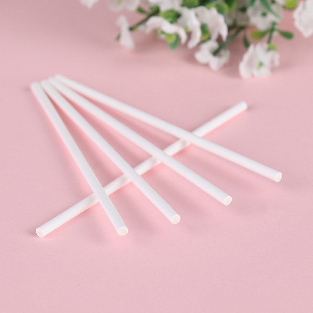 Biodegradable 2.5mm 3.0mm 3.2mm 3.5mm 4.0mm Paper Stick Eco White Lollipop Stick