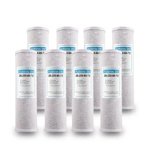 Qicen Commercial Alkaline Mineral Ph Filter For 100G Domestic Water Machine
