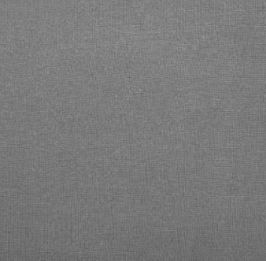 S21 ultra gris