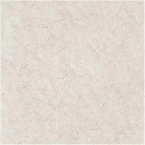 Pads de polissage de sol naturels de 24 pouces Boardwalk BWK4024NAT, blancs (5/carton) - Product Image 5