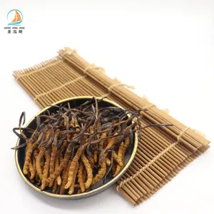 Cogumelo seco todo o preço selvagem <span class=keywords><strong>cordyceps</strong></span> <span class=keywords><strong>sinensis</strong></span> <span class=keywords><strong>cordyceps</strong></span> militar - Product Image 3