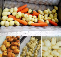 Industriële Groenteborstel Peele Automatische Aardappelchips Voorbereidingsschilmachine Met Geïntegreerd Borstelsysteem