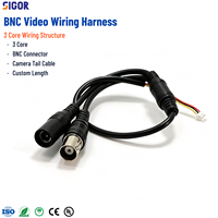 Cableado de Video BNC Personalizado de 3 Núcleos, Cable de Conexión para Cámara CCTV, Conector AHD CVBS, Kit de Monitoreo de Video a Prueba de Agua