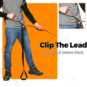 Nylon de alta resistencia, múltiples longitudes, 5m, entrenamiento de perros, correa de línea larga para cachorros con mango de Control para entrenamiento de recuperación/obediencia - Product Image 4