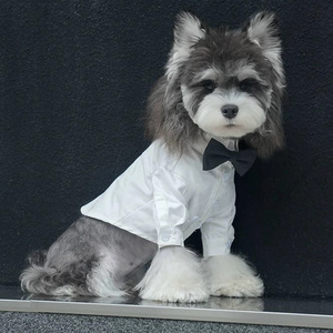 Corbata de lazo para mascotas, camisa blanca para perro, Bichón Frisé, Schnauzer, Maltés, ropa pequeña, traje, vestido, manga corta de verano - Product Image 2