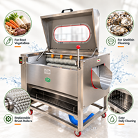 Machine à laver les légumes-racines commerciale avec brosses rotatives pour les opérations de manutention des récoltes agricoles