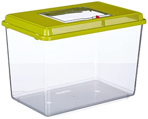 Mini Bicchiere Trasparente in Plastica con Coperchio per Acquario, Design Adatto per Tartarughe e Alimentazione di Animali Domestici, Prodotti Ecologici in PET - Product Image 2