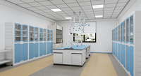 Banco de Laboratorio de Estructura Totalmente de Acero, Banco de Trabajo Personalizado para Laboratorio de Química, Hospital, Escuela, Planificación de Laboratorios, Diseño, Solución Integral