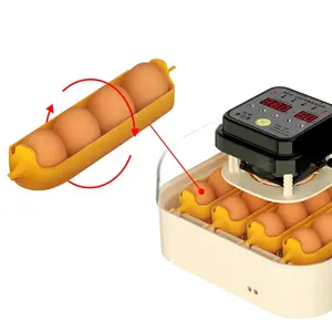 Incubadoras totalmente automáticas, incubadora automática de ovos de galinha, codorna, incubadora e nascedouro com energia solar
