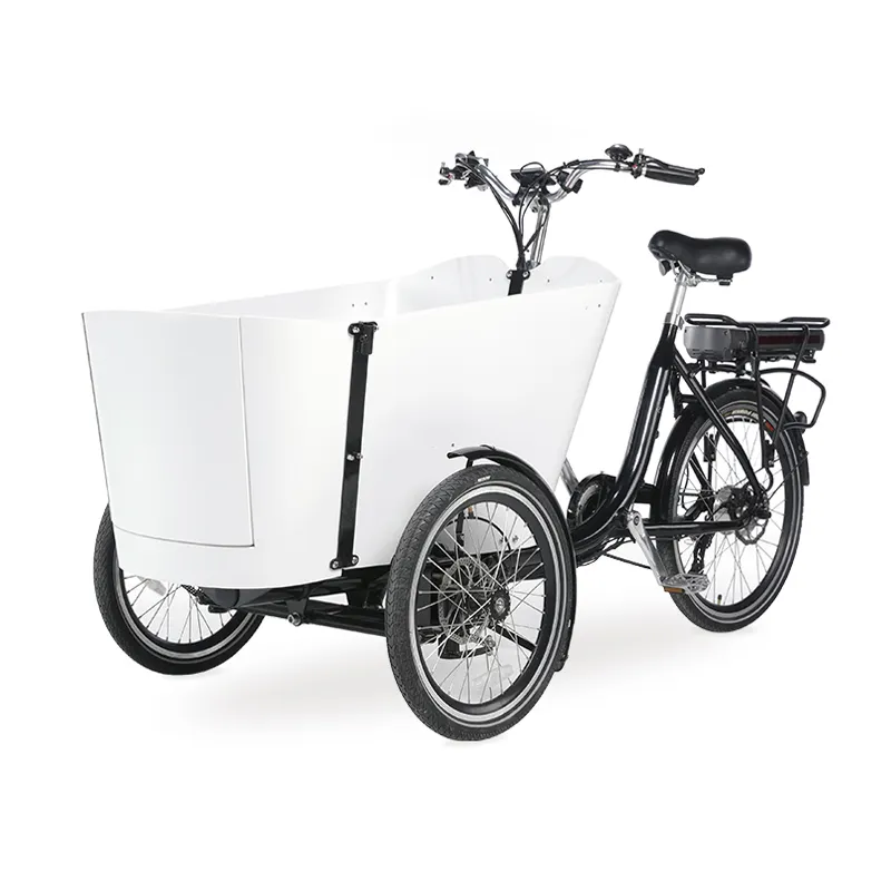 Vélo Cargo électrique à 3 roues de Style européen avec porte arrière pour se lever et transporter 4 Tricycle familial pour enfants