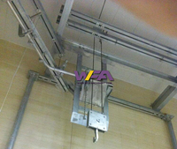 Équipement d'abattoir de bétail de haute qualité WFA, palan de levage de carcasses pour abattoir de boeuf