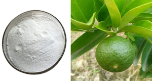 Ruiwo Approvisionnement D'usine Pur Citrus Aurantium Extrait Synéphrine HCl Poudre Supplément Naturel Commande Minimum 1kg - Product Image 3