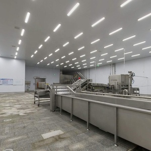 Bán buôn số lượng lớn cây trồng mới iqf nấm trắng đông lạnh champignons Sản phẩm chất lượng cao - Product Image 5