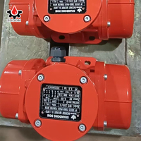 Chinesische Herstellung Elektrischer Marokkanischer Motorvibrator 220V MVE-Serie Vibrationsmotor