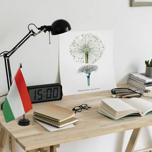 Bán buôn tùy chỉnh mini trang trí đàm phán bảng cờ 14*21cm pennant phong cách cho Hungary văn phòng nhà máy cung cấp - Product Image 6