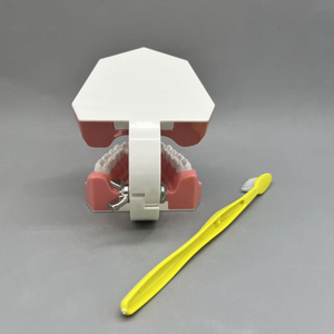 Nha sĩ đánh răng trình diễn và bàn chải đánh răng giáo dục Mô hình đánh răng tiêu chuẩn - Product Image 2