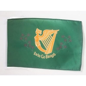 Nouveau drapeau <span class=keywords><strong>de</strong></span> l'Irlande Son of Erin Go Bragh 3x5 pieds, haute qualité, couleurs vives, grand drapeau irlandais pour la décoration <span class=keywords><strong>de</strong></span> fête, intérieur et extérieur - Product Image 4