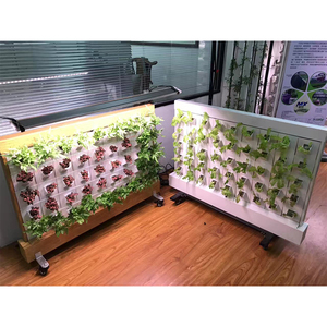 Resina de plástico combinación jardín apilable Greenwall Jardin Aquaponics plantas de pared plantador de plástico sistema de cultivo hidropónico - Product Image 3