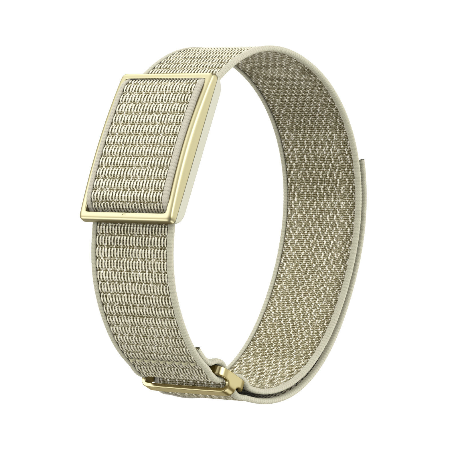Beige - Boucle dorée