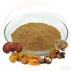 China-Herb Supply - Mezcla de Extracto de Hongos Potente 9 en 1: Melena de León, Cordyceps, Reishi, Chaga, Cola de Pavo y Maitake en Polvo - Product Image 2