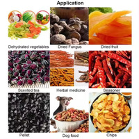 Ligne de nettoyage industrielle de fruits aux raisins secs germes de haricots choux légumes machine à laver et à sécher la machine déshydrateur alimentaire