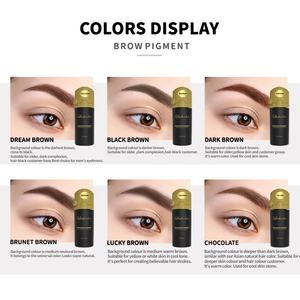 Wenshen Tattoo Supplies Lushcolor TOP Microblading ceja eyeline Maquillaje permanente Micropigmentacion Tattoo Ceja Tinta - Product Image 4