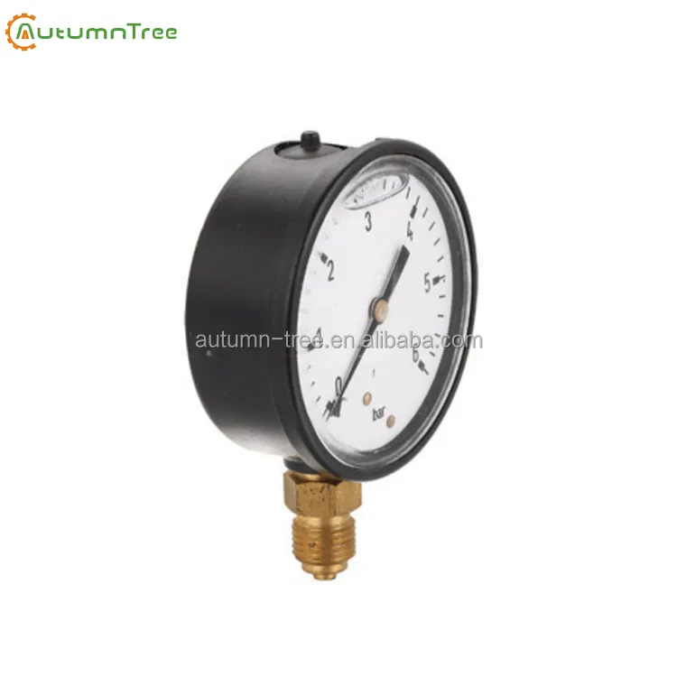 63mm 1.6% Plastic Case Ultrasonic Welding Lens Pressure Gauge For Water Pool