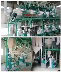 48T/D Tapioka pulver Cassava Pulver fräsmaschine zum Heiß verkauf in SA