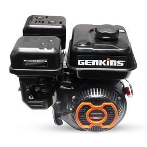 7,5 PS Benzinmotor 223cc Elektromotor mit Leichtstart - Product Image 3