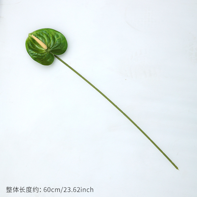 สีเขียว